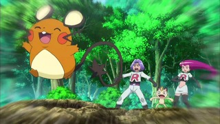 xy (87)