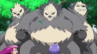 xy (155)