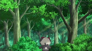 xy (21)