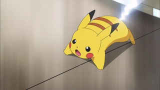 xy (59)
