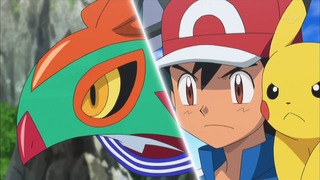 xy (94)