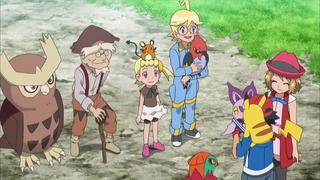 xy (155)
