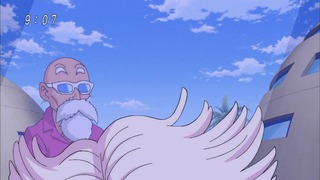 cap (24)
