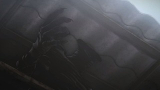 cap (23)