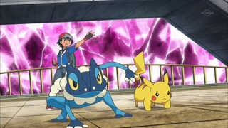 xy (44)