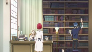 cap (13)