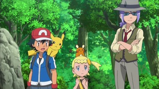 xy (109)
