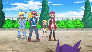 xy (36)