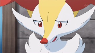 xy (26)
