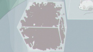 cap (145)