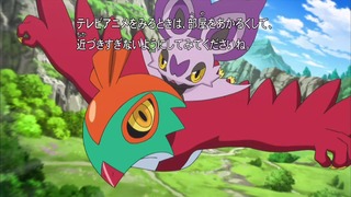 xy (4)