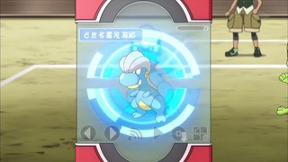xy (41)