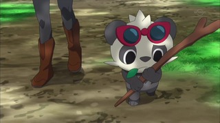 xy (28)