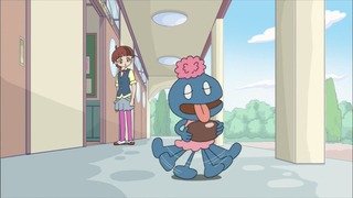 cap (34)