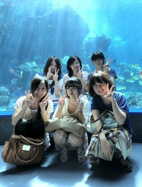 【見落とし厳禁】素人さんの記念写メではだいたいパンチラしてるぞwwwwww(画像あり)