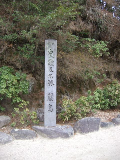 CIMG3584