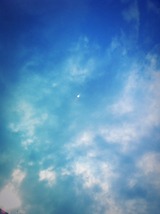a3d7401a.jpg