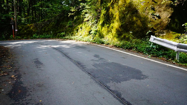 LRG_DSC04393