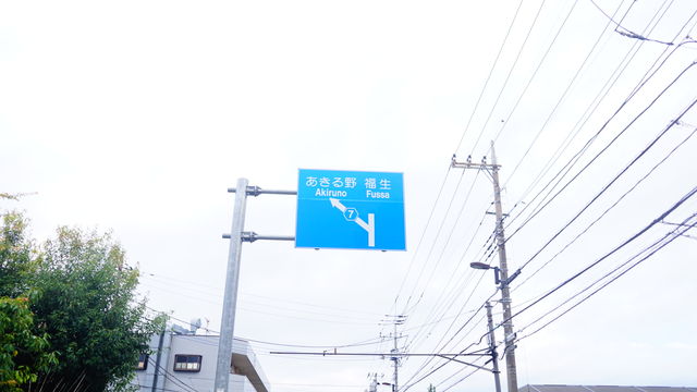 LRG_DSC04308