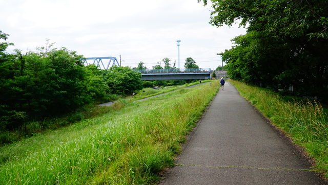 8491C16C-B73C-421B-B7F7-DBBED83DBD3B