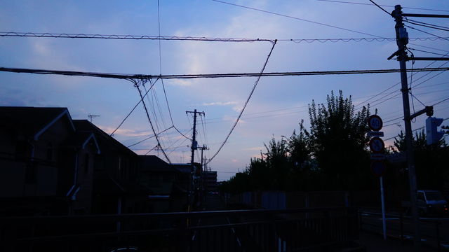 LRG_DSC04463
