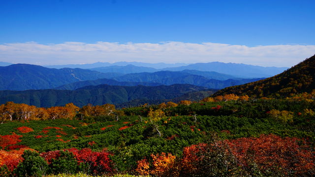 LRG_DSC05546