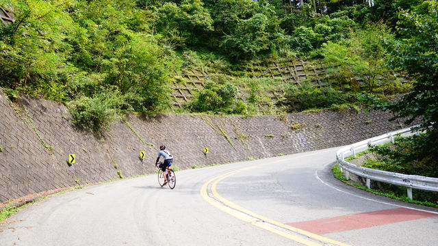 LRG_DSC04403