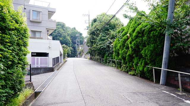 074C490B-E524-4F55-9EF1-41D7B76A29C1