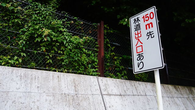 LRG_DSC04341