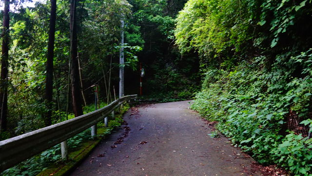 528F352D-DD42-41C6-A2F3-00DBB07BD104