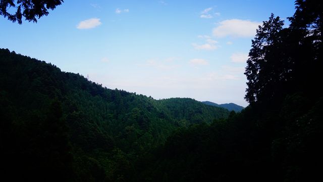 58277A56-FAEC-4AC4-AA77-985F66B3FCBA