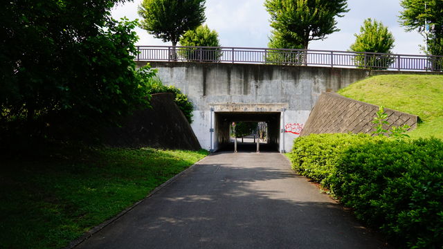 998485C0-AAAE-4009-ABCE-90CFE73476CA