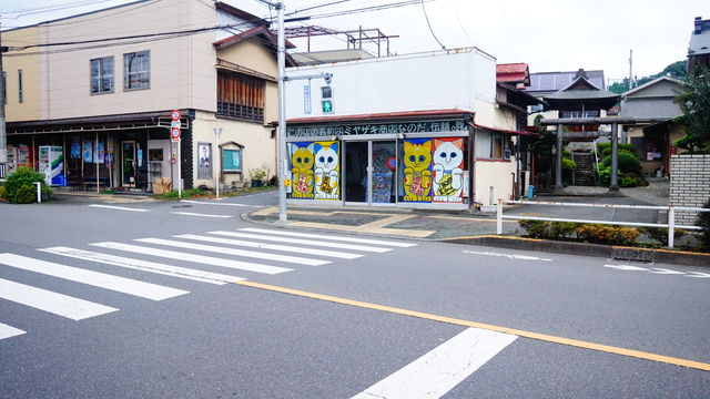 LRG_DSC04317