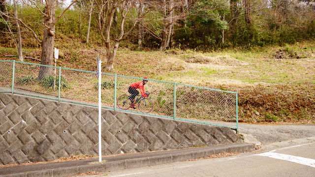 ORG_DSC07095
