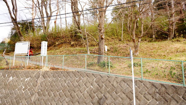 ORG_DSC07092