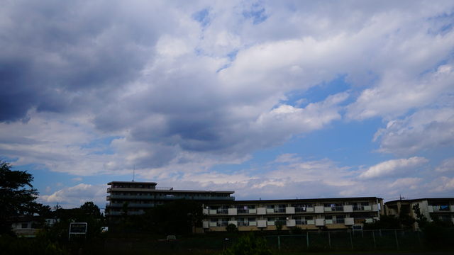 D3F9A385-EE5B-4A8C-8B7F-23D572A17249