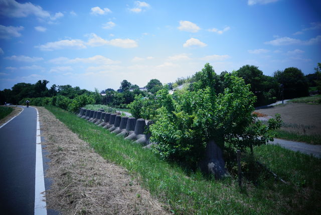 B93A59C6-9C39-4264-94F3-59D5656DC90F