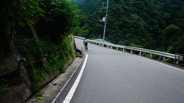 LRG_DSC04429