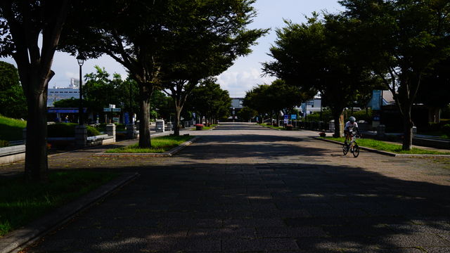 8F3B4C8F-C530-42D9-BD94-1B32A491AE21