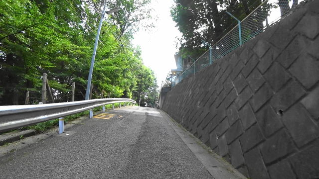 MAH03406 (18)