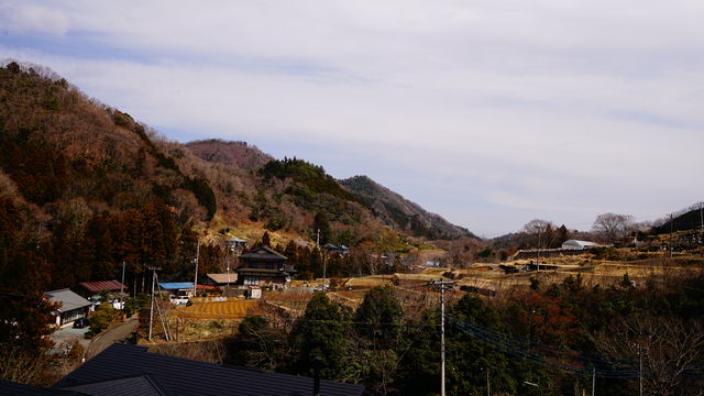 ORG_DSC07113