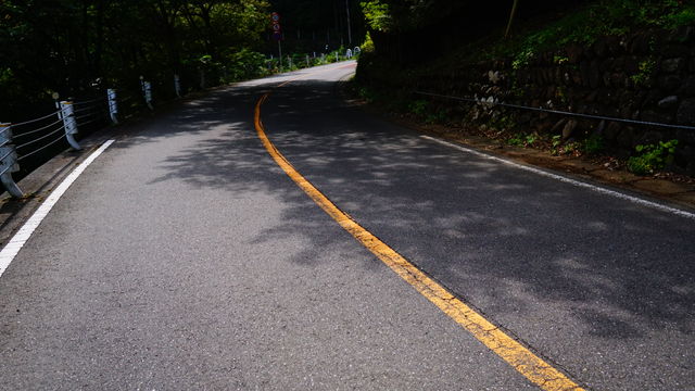 LRG_DSC04387
