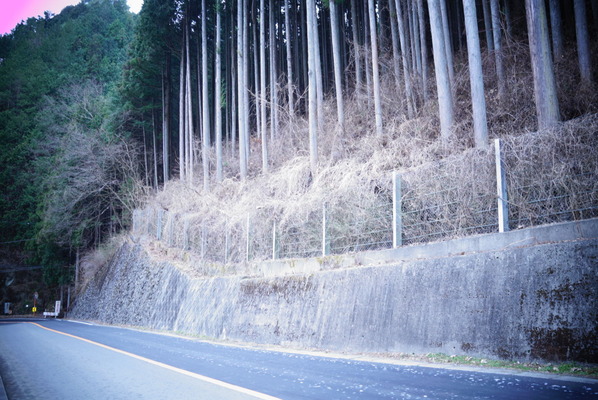 6B49A3B3-5A4B-45E1-A599-941868F998F0
