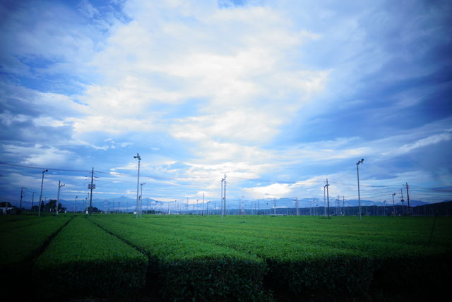 9B7CCA6E-E47F-4AE8-9BAA-B7002A4E4C34