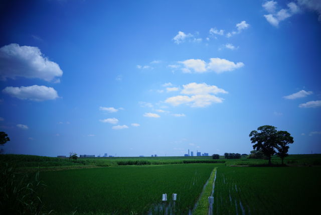 85C25ADA-CCB9-4D99-A419-979F20734F5F