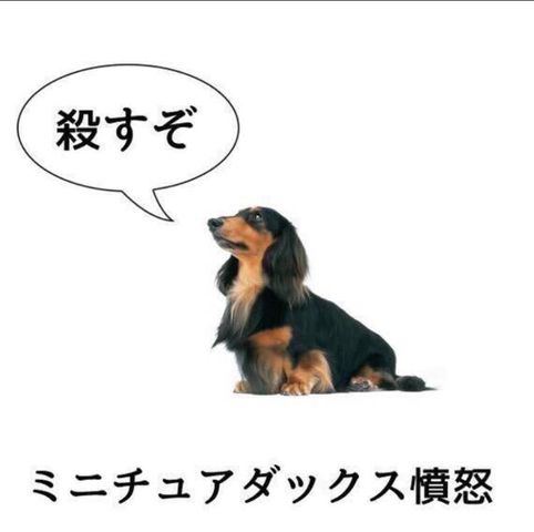 69B8A053-9B09-4723-87B9-6E74EE4F481C