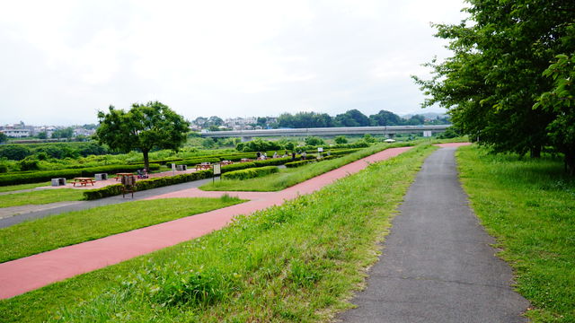 50C608A5-A5A4-4028-9CD7-BB4A0750A430