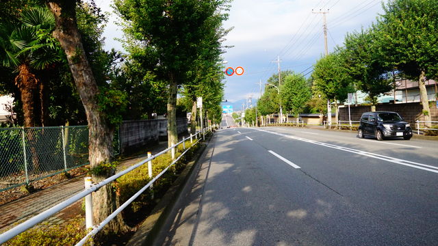 LRG_DSC04311