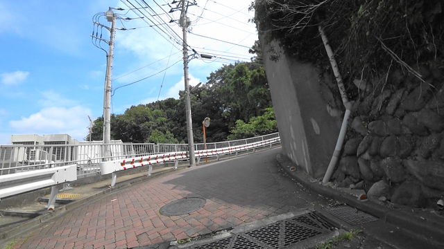 MAH03406 (9)