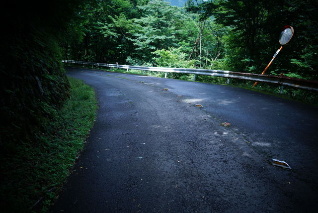711393EC-2641-4A9A-9FD2-CF99D67308B3